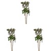 Vickerman Artificial 38" Berry Spray, 3 per Pack - image 3 of 3