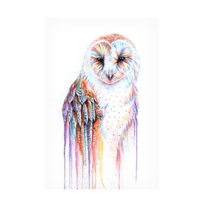 Trademark Fine Art -Michelle Faber 'Barred Rainbow Owl' Canvas Art - 1 of 4
