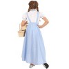 HalloweenCostumes.com Girl's Gingham Hi-Lo Dress Kansas Girl Costume - 2 of 4