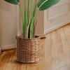 4 Ft/5FT/6FT Bird of Paradise Artificial Plant, Artificial Bird of Paradise Plant,1pack or 2pack - 2 of 4