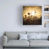 Trademark Fine Art -Christian Marcel 'Watching The Sun' Canvas Art - 2 of 4