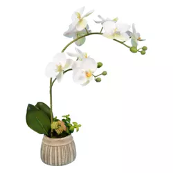 Vickerman 18" Artificial White Orchid in Ceramic Pot.