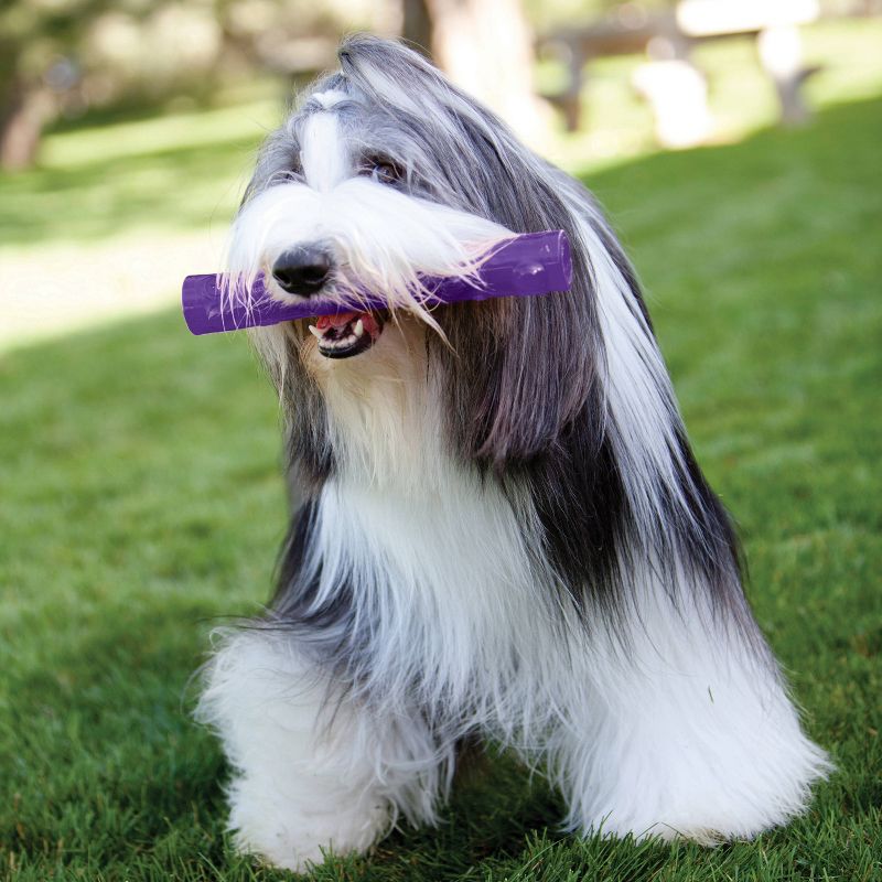 KONG Squeezz Stick Fetch Dog Toy - Purple - L, 4 of 8