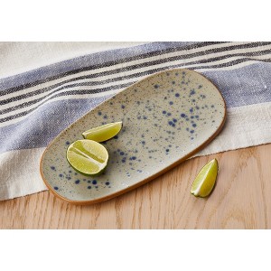 tagltd Hudson Blue Speckle Porcelain Oval Serving Dinnerware Platter Dishwasher Safe 11.0L x 5.5W inch - 1 of 2