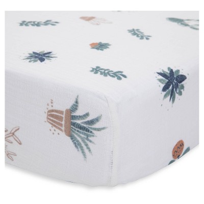 pima cotton crib sheets