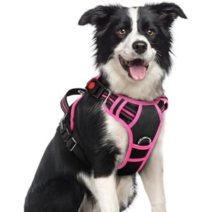 rabbitgoo Dog Harness Medium Sized, No Pull Dog Vest with 3 Buckles,  Black & Rose Pink, M - 1 of 1