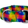 Country Brook Petz 1 1/2 Inch Premium Kaleidoscope Dog Collar - 4 of 4