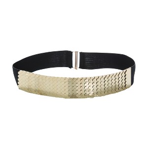 INSPIRE CHIC Women's Fish Scale Fashionable Elastic Band Metal Waistband - 1 of 4