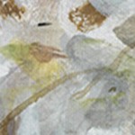luster gray