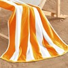 Isla Jade 4pk Cotton Cabana Beach Towels - 4 of 4