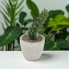 Unique Bargains Artificial Plants Mini Single Wheat Stalk in Pulp Plastic Green 2.56"x2.56"x4.72" 1 Pcs - 2 of 4