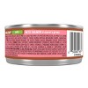 Purina Friskies Extra Gravy Chunky Wet Cat Food - 5.5oz - 2 of 4