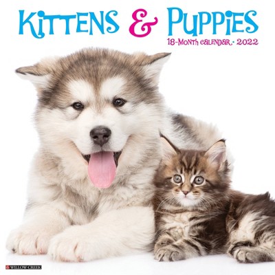 2022 Wall Calendar Kittens & Puppies - Willow Creek Press