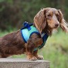 Doggie Design American River Choke Free Dog Harness Ombre Collection-Northern Lights - 2 of 4
