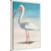 16"x23" Boca Bird by Kathleen Broaderick Framed Canvas Wall Art Print White - Amanti Art: Modern Lithograph, Animal Subject - 2 of 4