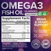 Omega-3 Gummies, Fish Oil Gummies for Adults & Kids, Vitamins, EPA & DHA Fish Oil Fatty Acids Gummy Supplement - 60 Gummies By Nature's Nutrition - 2 of 4