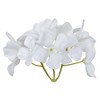 Vickerman 20" Real Touch Hydrangea Wreath - 2 of 4