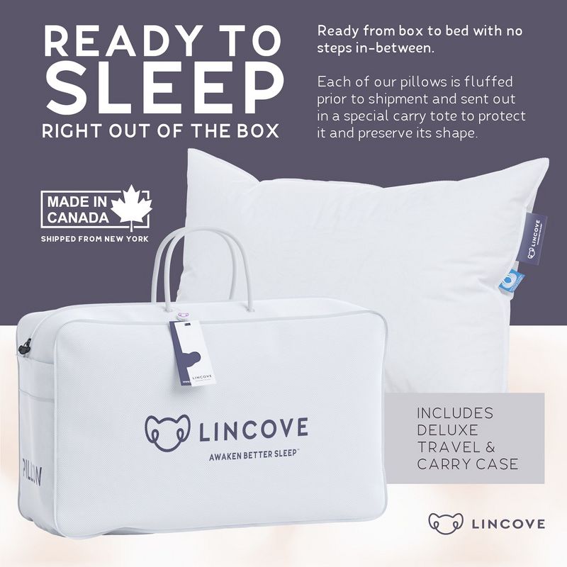 Lincove Signature 100% Canadian Down Luxury Sleeping Pillow - 800 Fill Power, 500 Thread Count Cotton Shell, 2 Pack, 4 of 9