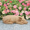Design Toscano Sandman And Porker, The Piggies Garden Statues - Sandman - 2 of 4