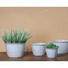 Set Of 4 Antique White Round Enamel Metal Planters - Foreside Home ...