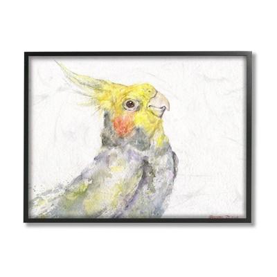 Stupell Industries Cockatiel Bird Portrait Tropical Yellow Grey Pet