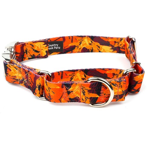 Country Brook Petz Orange Sunset Camo Martingale Dog Collar with Premium Buckle - image 1 of 4