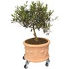 11" to 16.1" Adjustable Metal Plant Caddy – Rust-Proof, Heavy-Duty Rolling Stand - 3 of 4