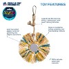 Prevue Pet Products Sunburst - Playfuls Preen & Pacify Bird Toy 60243 - 2 of 3