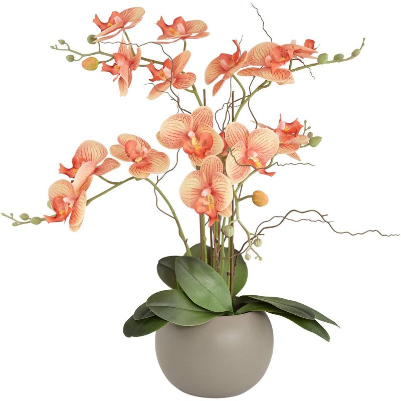 Studio 55D Orange Orchid 22 1/2" High Faux Floral in Gray Pot, 1 of 7