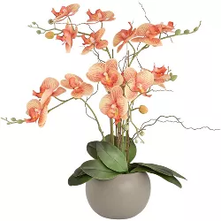 Studio 55D Orange Orchid 22 1/2" High Faux Floral in Gray Pot