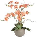 Studio 55D Orange Orchid 22 1/2" High Faux Floral in Gray Pot