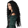 California Costumes Renaissance Maiden Adult Wig (Black) - 3 of 3