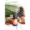 Plantlife Pumpkin Spice Essential Oil Blend – 100% Pure, Therapeutic Grade – No Additives or Fillers – Made in California – 10ml - 2 of 2
