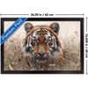 Trends International Reinders: Animals - Hunting Tiger In Grasses Framed Wall Poster Prints - 3 of 4