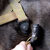 HOOZA One Clip Harness - Dog Outdoor Accessory, Pet Safety - Reflective, Adjustable, Overhead - 4 of 4