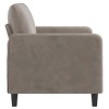 vidaXL Light Gray Sofa - 2-Seater - Comfortable Velvet Fabric Upholstery - Robust Plywood and Metal Frame - Modern and Chic - 4 of 4
