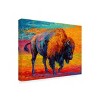 "Spirit Of The Prairie" Outdoor Canvas - 2 of 4