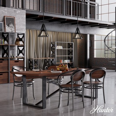 Hunter Fans 10.25" Rafner Ceiling Light Natural Iron Finish - Industrial Style Pendant for Indoor Use