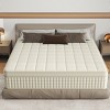 CHEVNI 12-14 Inch Mattress in a box Hybrid Spring Memory Foam Medium Firm - 2 of 4
