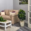 Nearly Natural 3.5-ft Schefflera Artificial Tree in Country White Planter (Real Touch) - 4 of 4