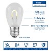 Novelty Lights S14 Hanging LED String Light Flex Filament Replacement Bulbs E26 Medium Base 1 Watt - 2 of 4