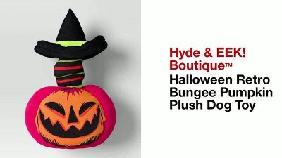 pumpkin♡ Porcelain Princess F1 Hybrid Pink Pumpkin – DPSEEDS