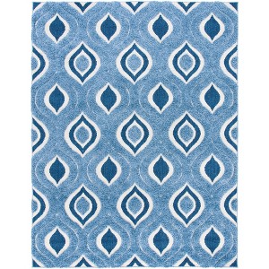 Florida Shag SG461 Power Loomed Indoor Rugs - Safavieh - 1 of 4