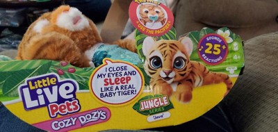 Little live pets tiger online