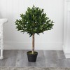Nearly Natural 34-in Olive Topiary Artificial Tree UV Resistant (Indoor/Outdoor) - 2 of 2