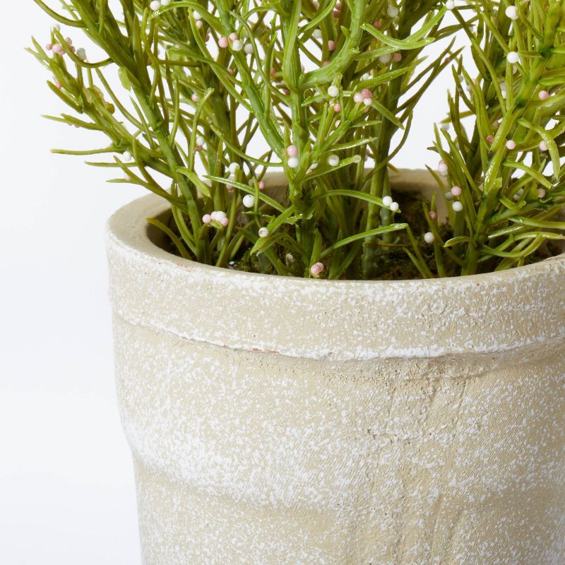 Flowering Rosemary Potted - Threshold&#8482; designed with Studio McGee, 4 of 6