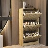 Famapy 3-Tiers Entryway Shoe Cabinet With Flipped Drawers - image 2 of 4