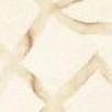 ivory/camel