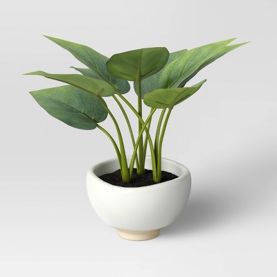 Small Leaf in Footed Planter - Threshold™