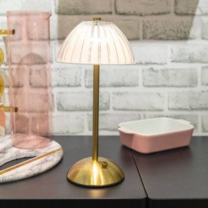National Brand Portable and Rechargeable LED Touch Lamp with Pleated Acrylic Shade and Brushed Brass Metal Base - 1 of 3